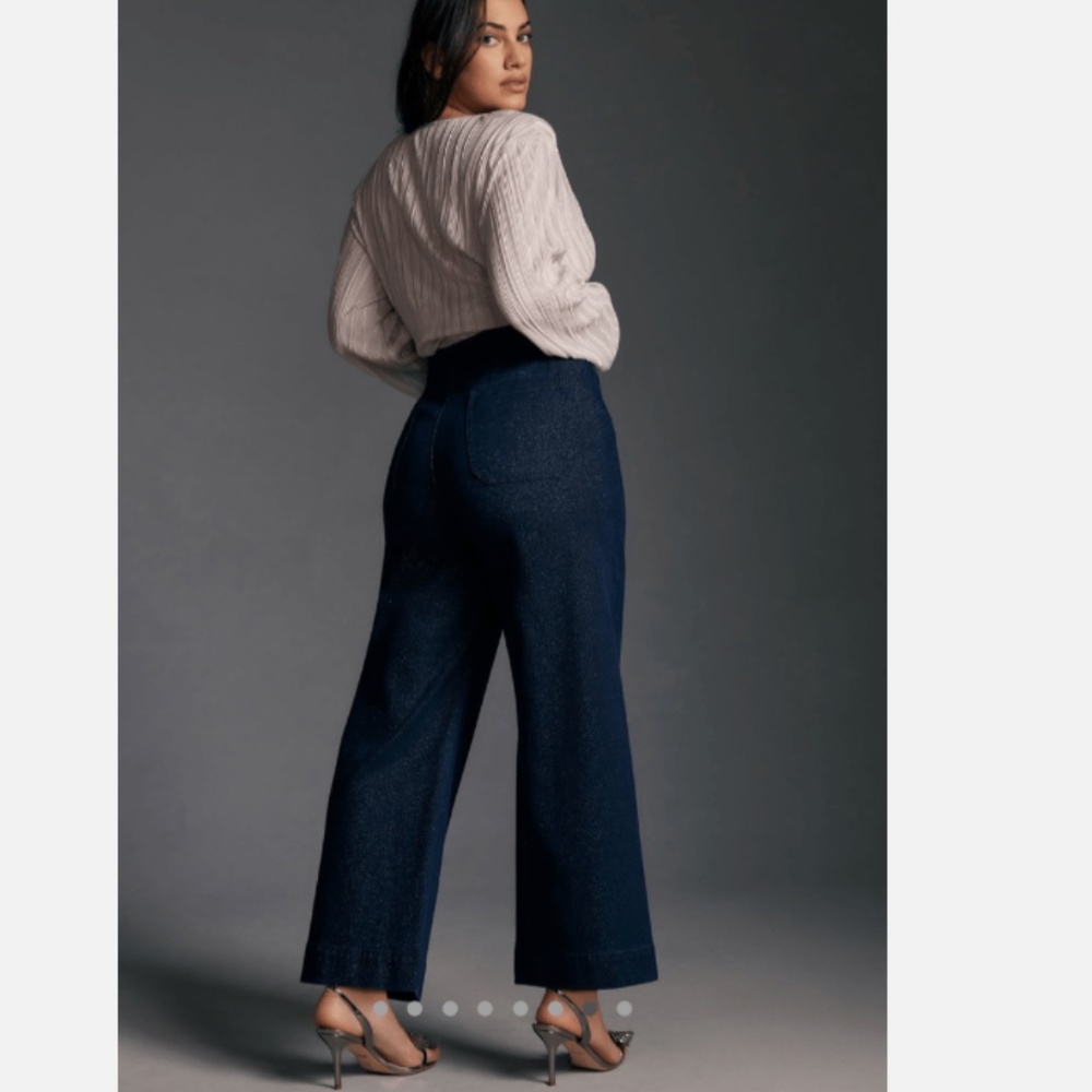 NWOT Maeve for Anthropology Wide Leg Sparkle Pant "the colette" - Womens 29P
